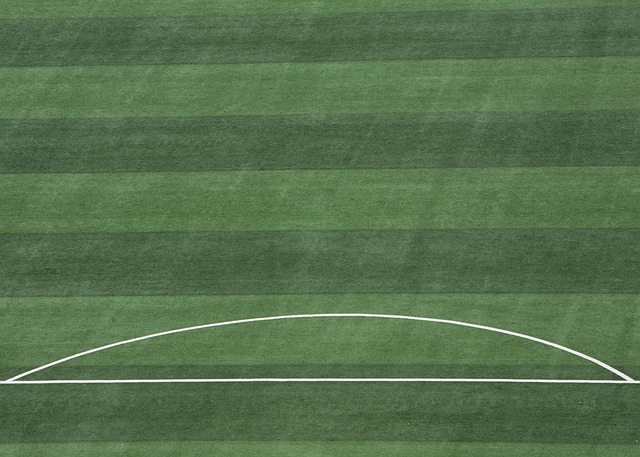 的进攻火力 的进攻火力