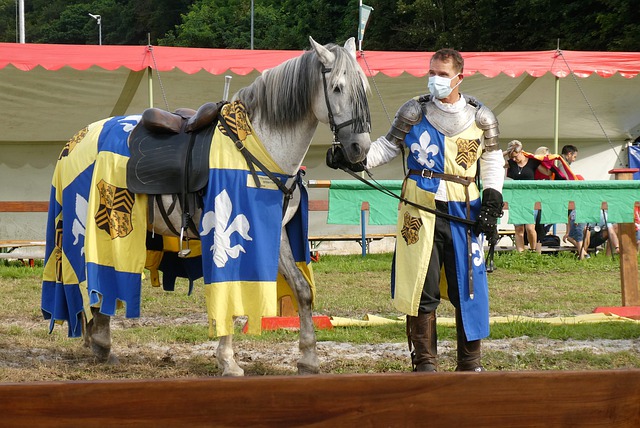 的足球价值 的足球价值