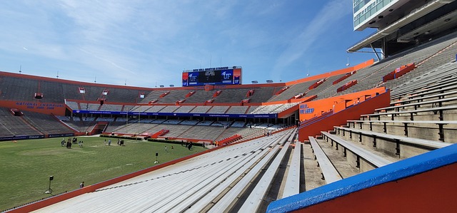 张修维选择 张修维选择