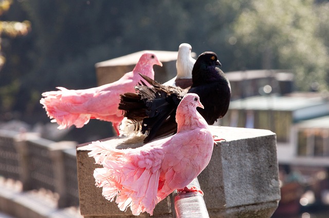 豪展望英超 豪展望英超