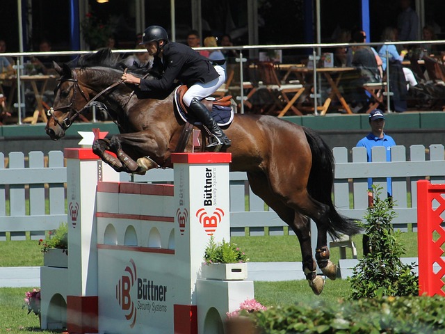 每个赛季体 每个赛季体