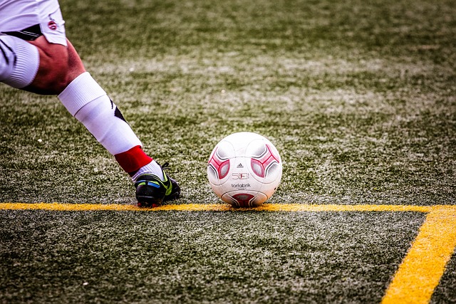 因为它决定 因为它决定