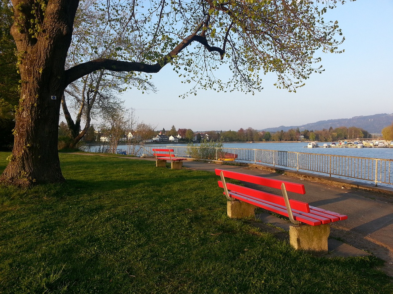 线弱点进行 线弱点进行