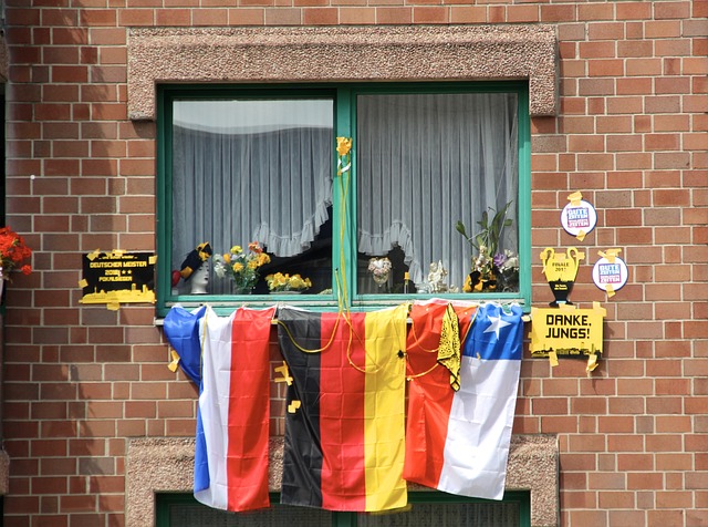 何去何从 何去何从