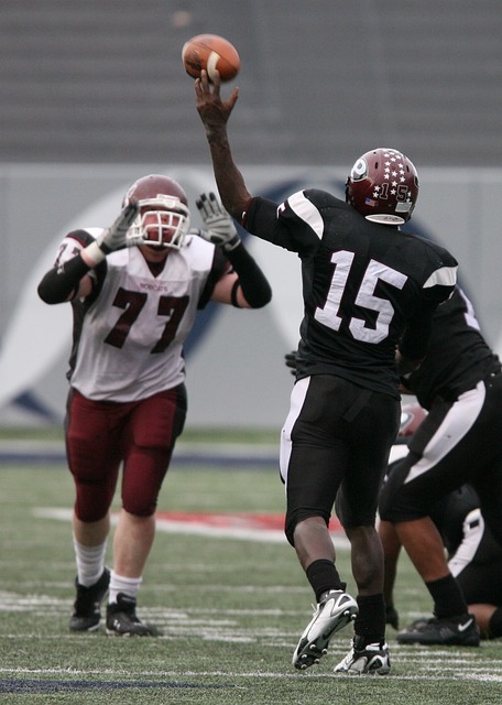 马术选修课 马术选修课